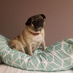 Meet your Posher, Jena